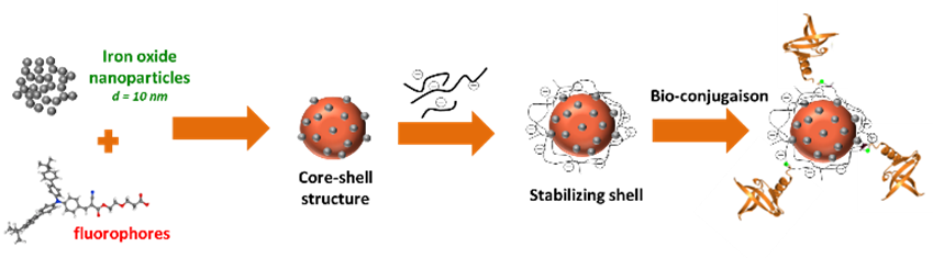 Fabrication process of NABIDI nanoassemblies