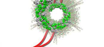Programme de maturation Metallosupragels 2.0