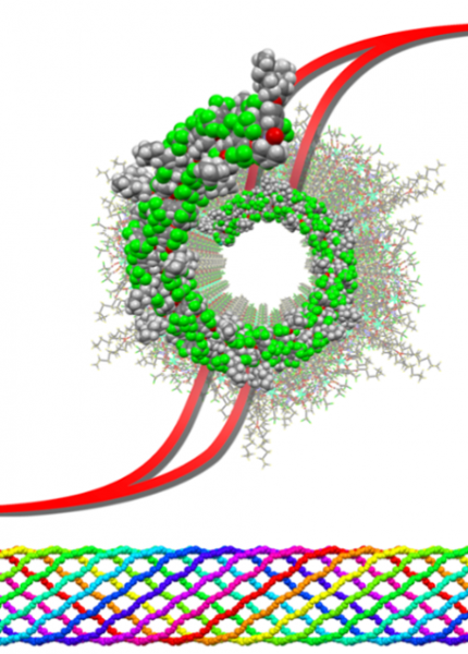 Programme de maturation Metallosupragels 2.0
